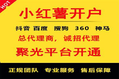 百度竞价排名案例分析：提升网站流量与转化率